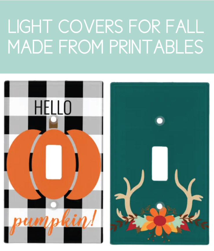 fall light covers