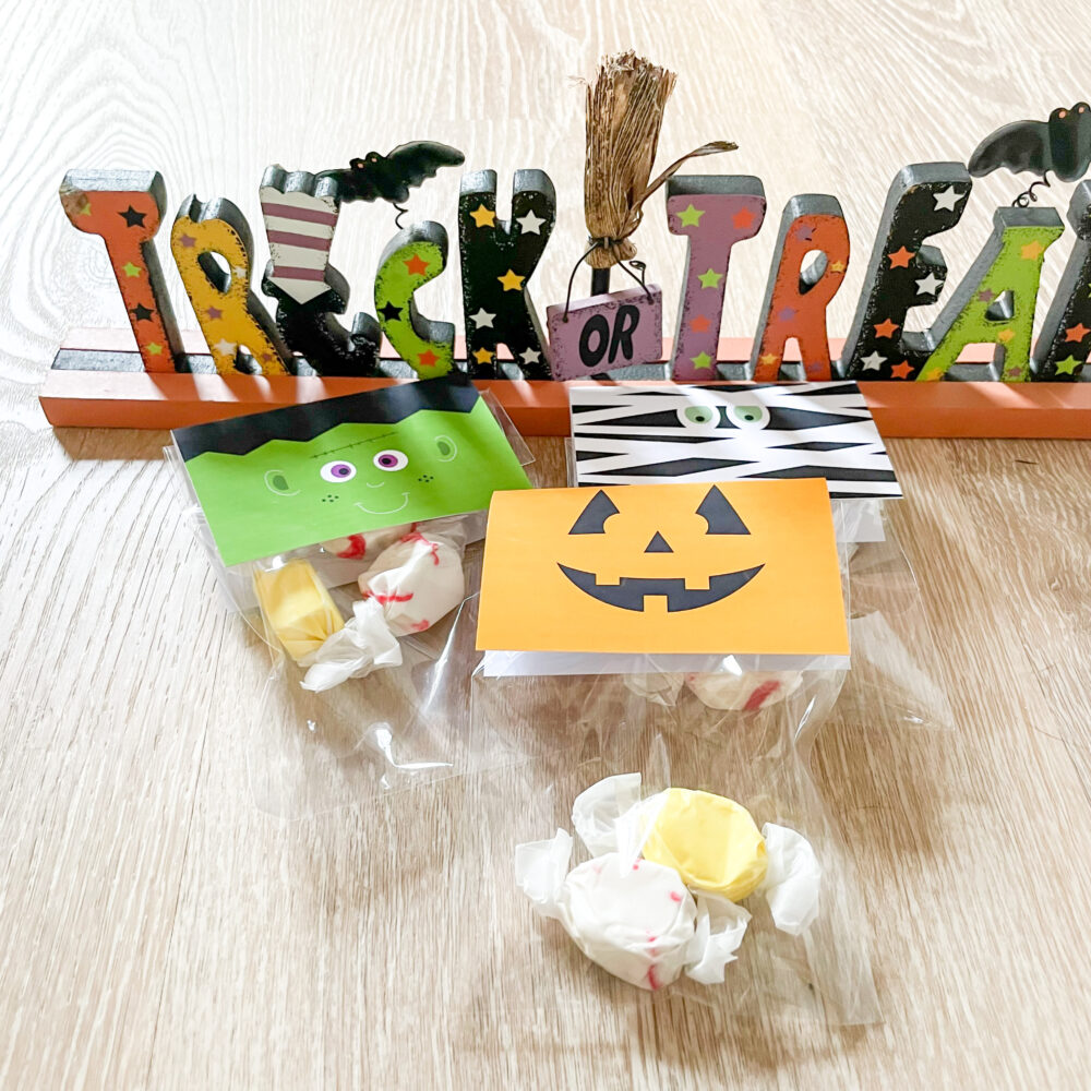set of three trick or treat candy bags