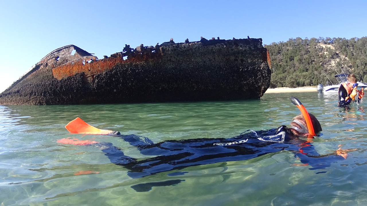 Snorkel a Shipwreck on Moreton Island