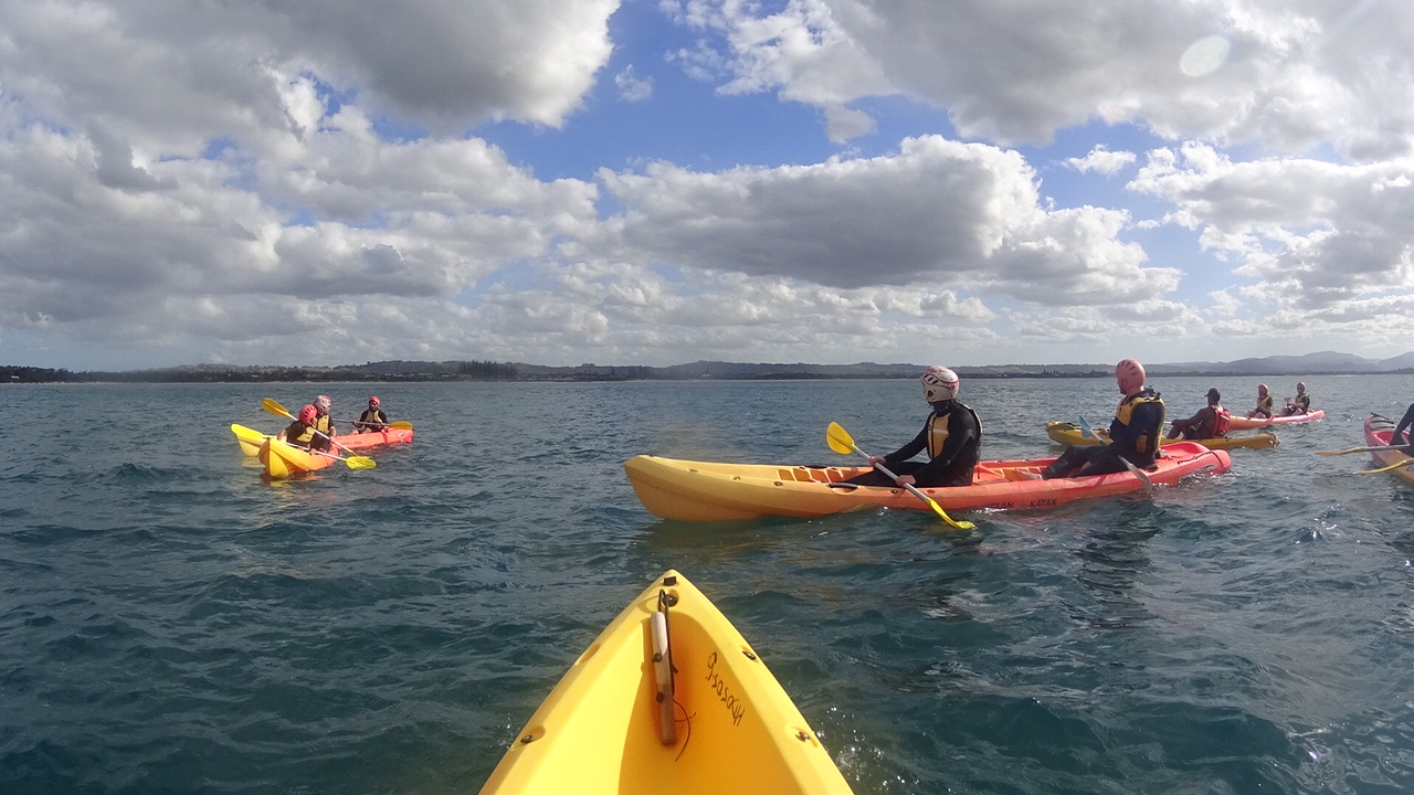 Spot Dolphins while Kayaking in Byron Bay