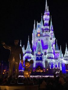 Disney Castle at Christmas