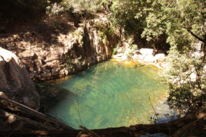 Emma Gorge Swimming Spot