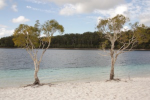 Lake McKenzie of Fraser Island