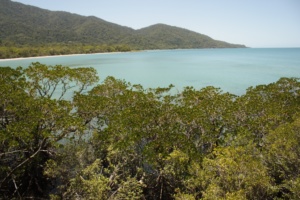 Cape Tribulation- where the rainforest meets the reef