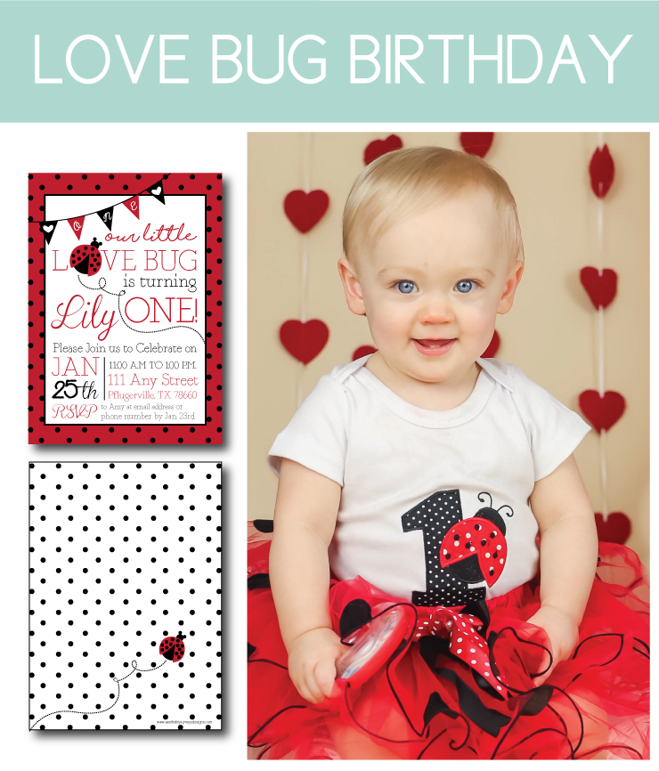Love Bug Birthday Photoshoot & Designs