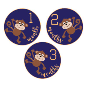 monkey baby milestone stickers