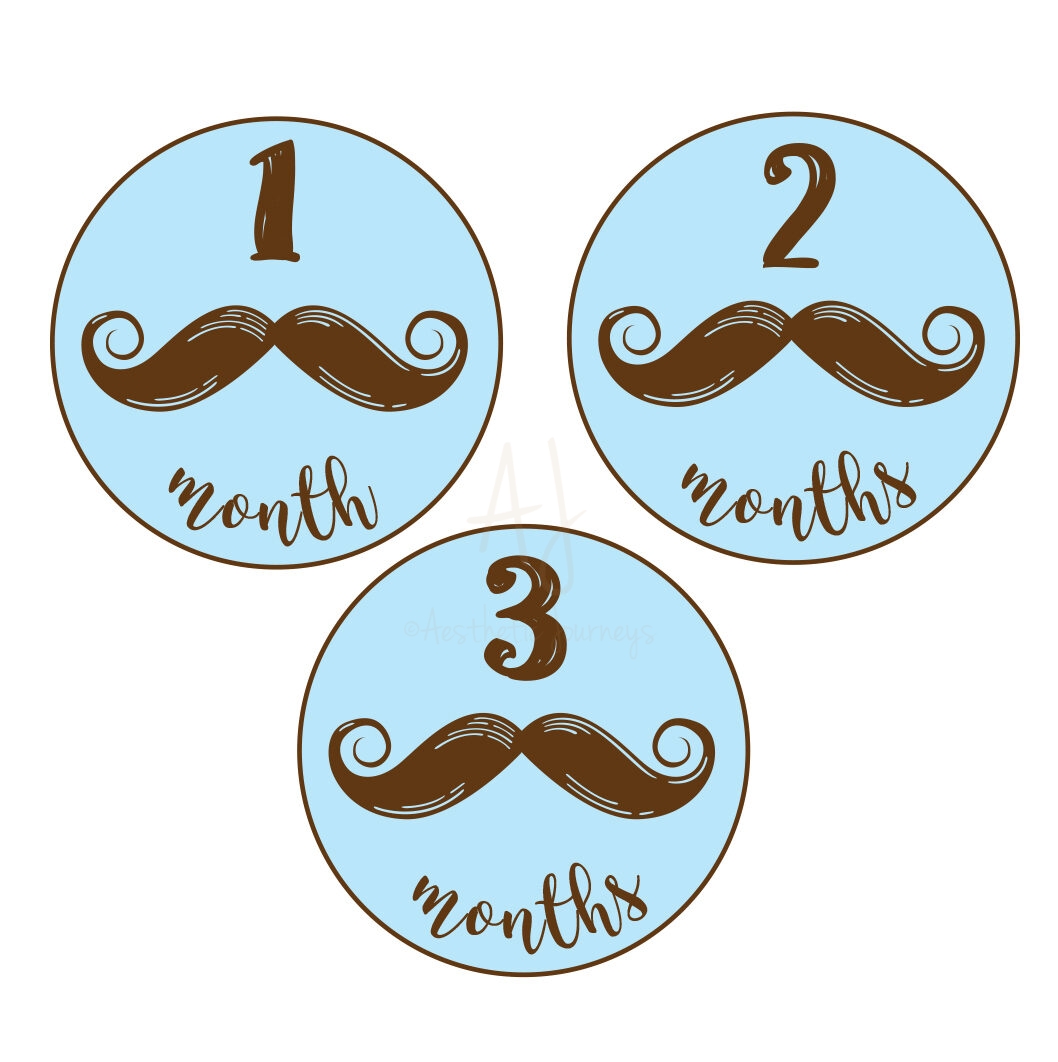 mustache baby milestone stickers