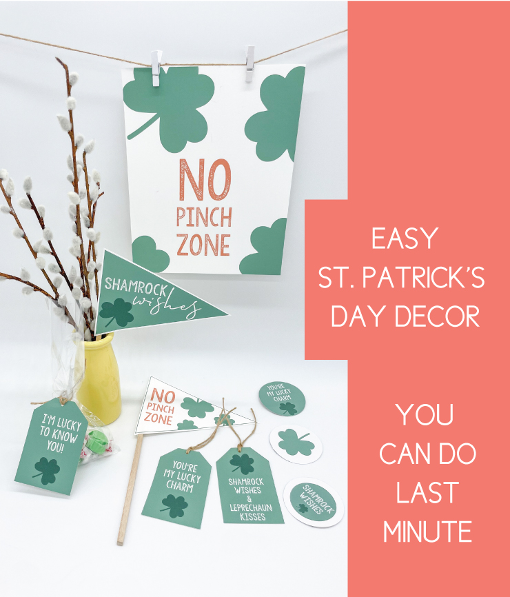 party ideas for st. patrick's day on white background
